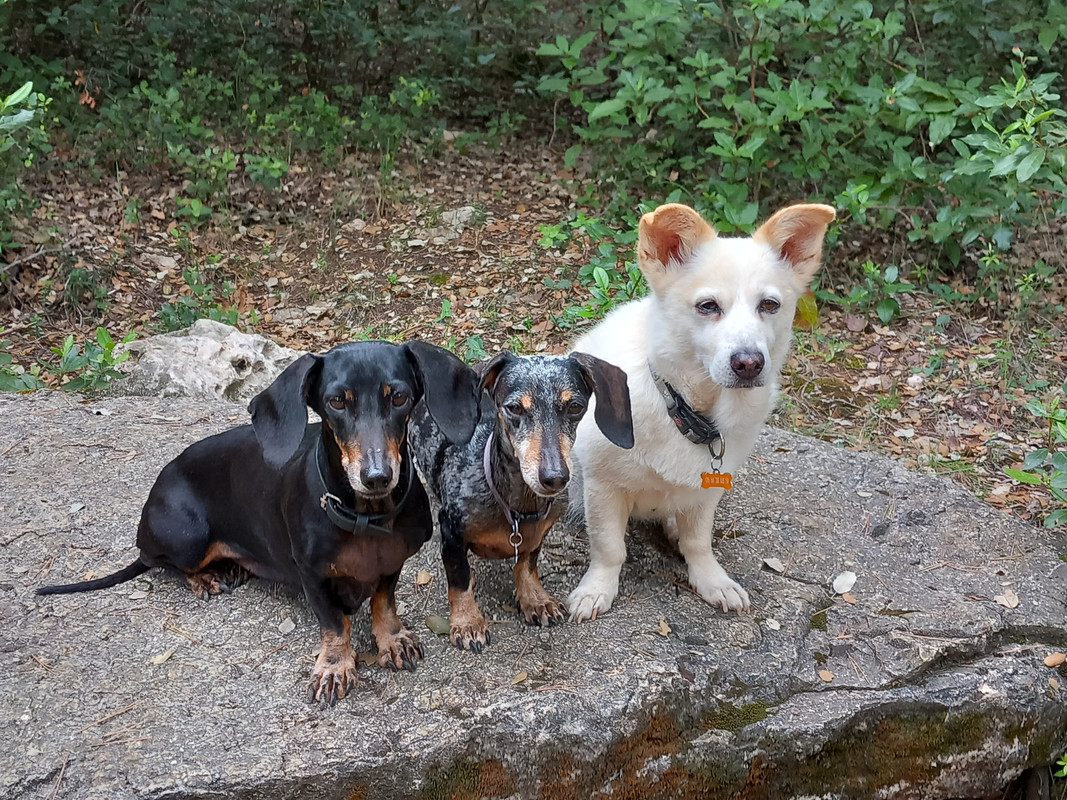 [Image: 20230628-095806.jpg]