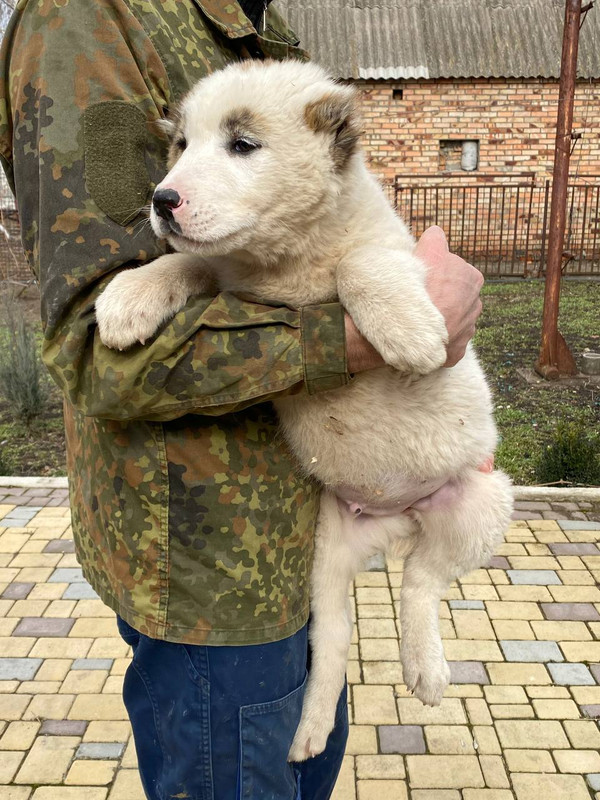 2FC8289D-BE44-4613-83D4-6CF94E772B23