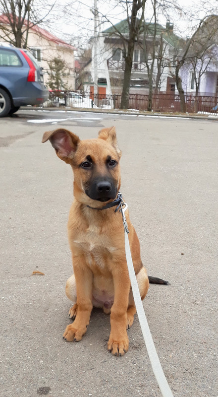 20190303_143838_016. суп. суп. лучш.. ( 1 )