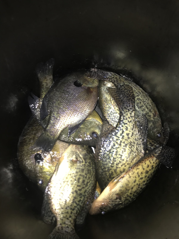 18942CD4-30DF-4D6B-9944-A9E60FED144C