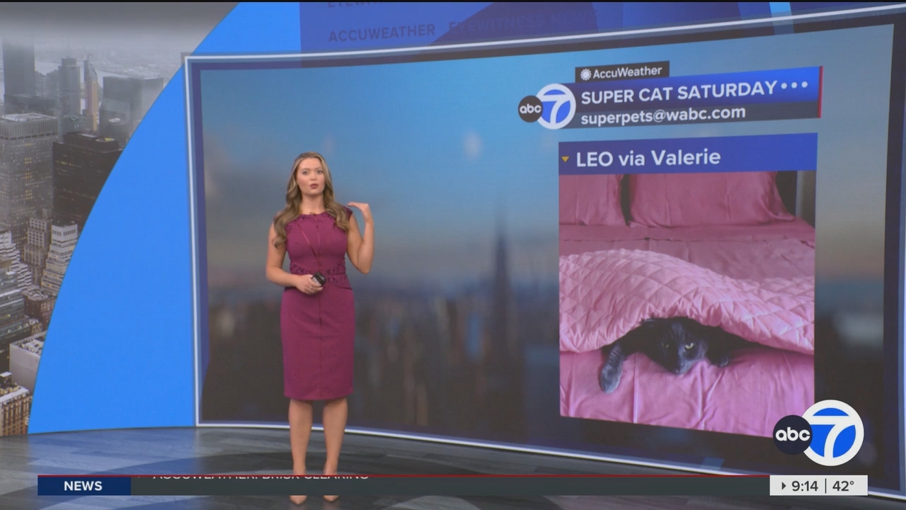 Eyewitness News This Morning_20250308_14001500.ts_snapshot_00.15.43.603