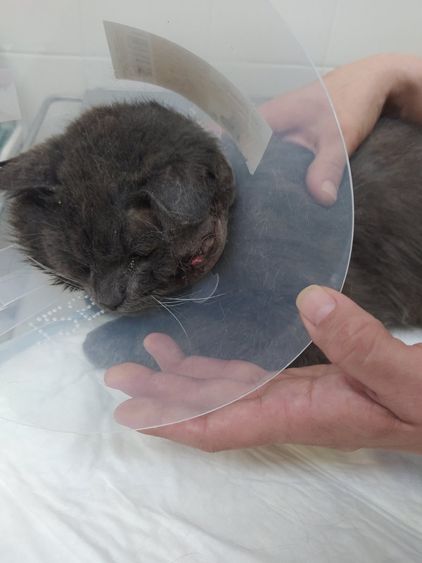 7AF7371F-BACF-49C5-95D1-F7B39C341A71