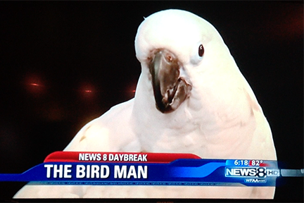 Bird-Man-v3.png