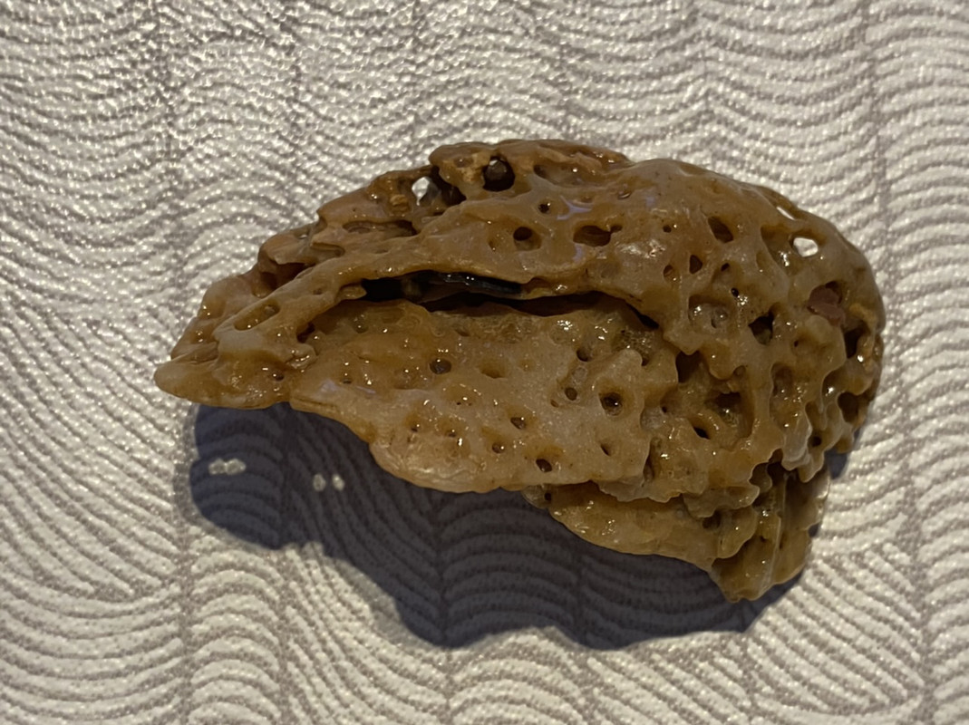 4409F35A-CAE9-427E-8145-91A901BE3EA3