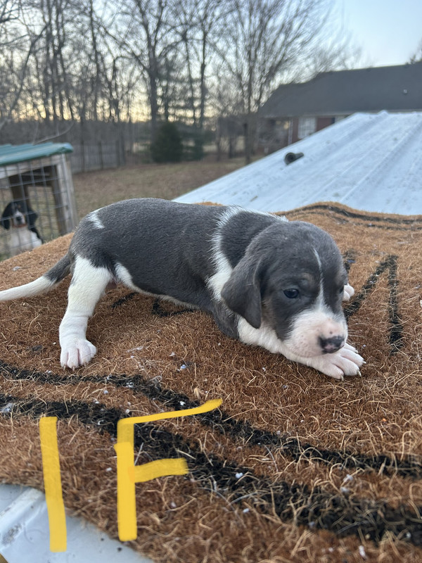 7FCECCE4-5D6F-4752-AE59-5A078A18FE94