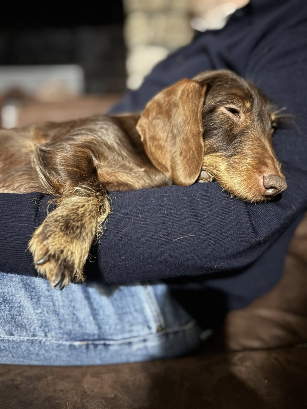 [Image: IMG-3336.jpg]