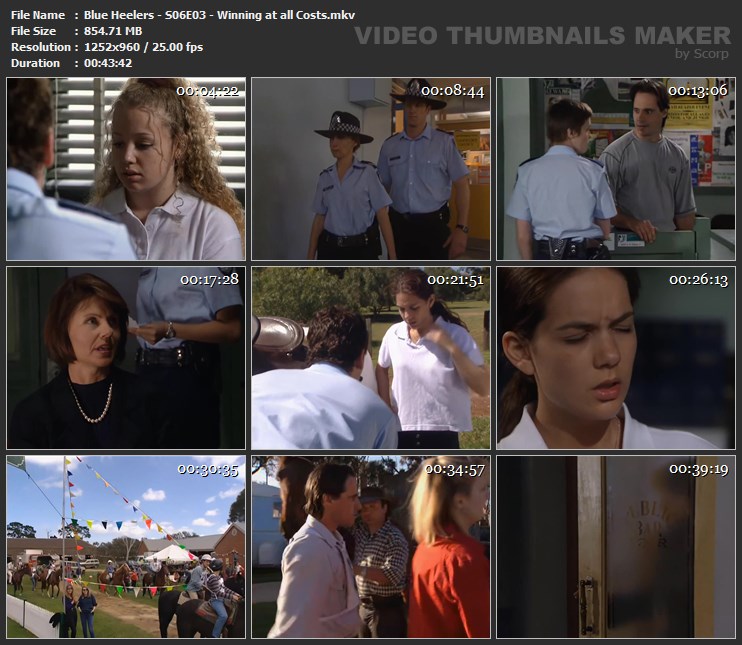 Blue Heelers - S06E03 - Winning at all Costs.mkv