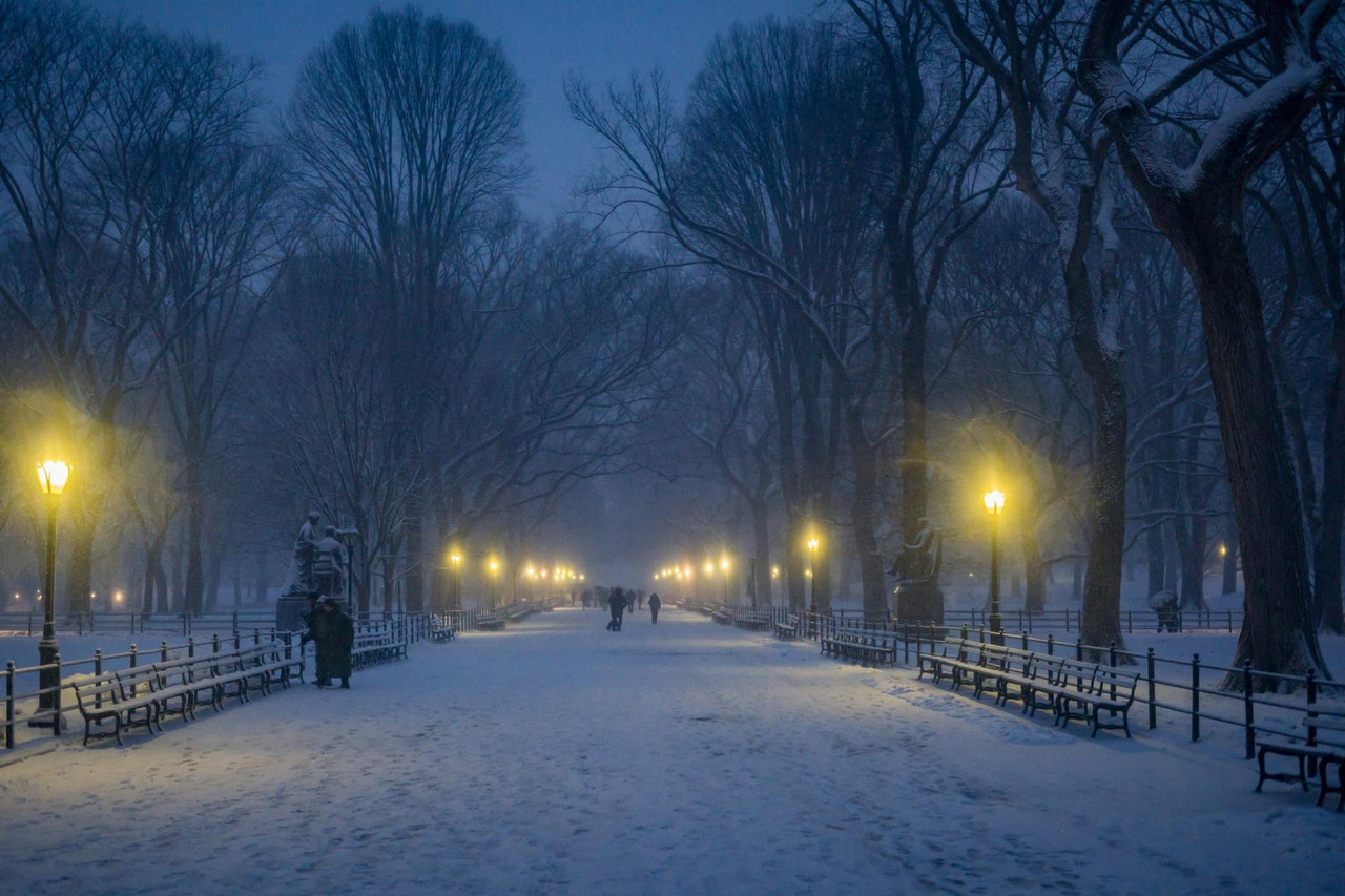 central park snow (9)
