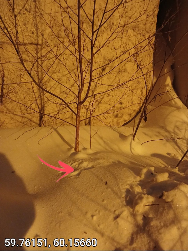 1000165157 20260130070821