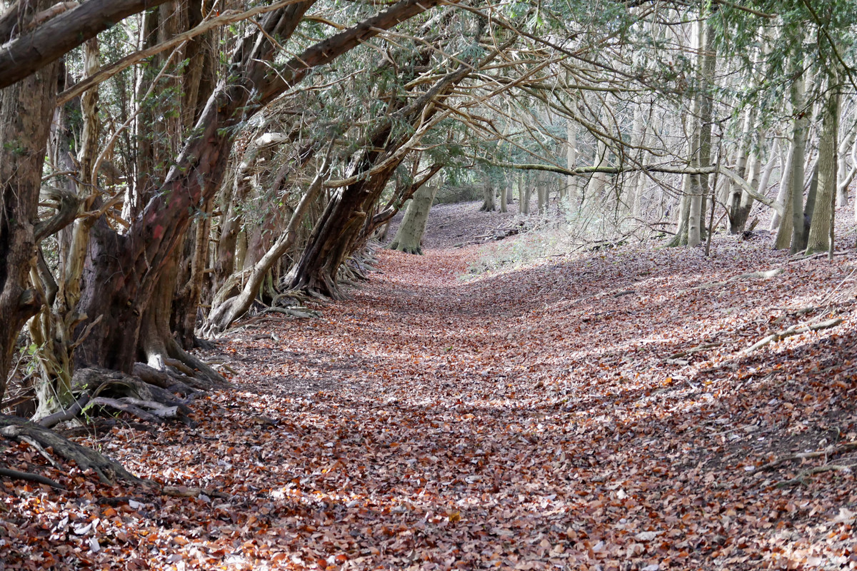 7A28549A-1460-45DC-9D0C-6845D5DBBEC7