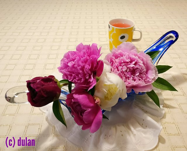 [Image: IMG-20240621-144050.jpg]