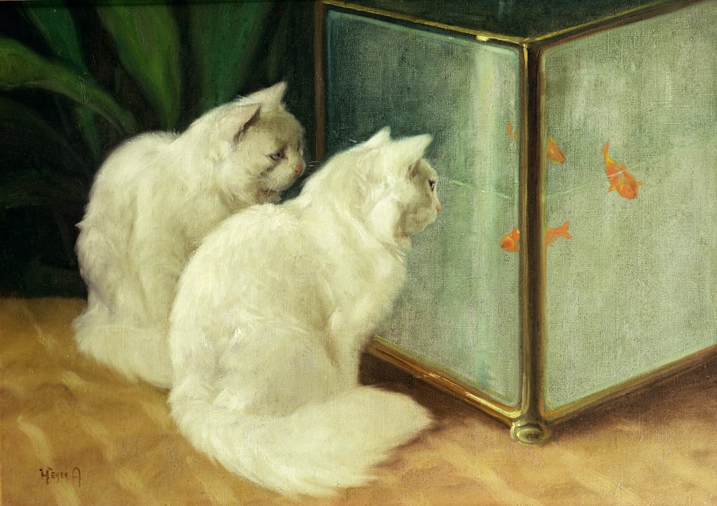 Arthur-Heyer-White-Cats-Watching-Goldfish-Meister-Drucke-268636