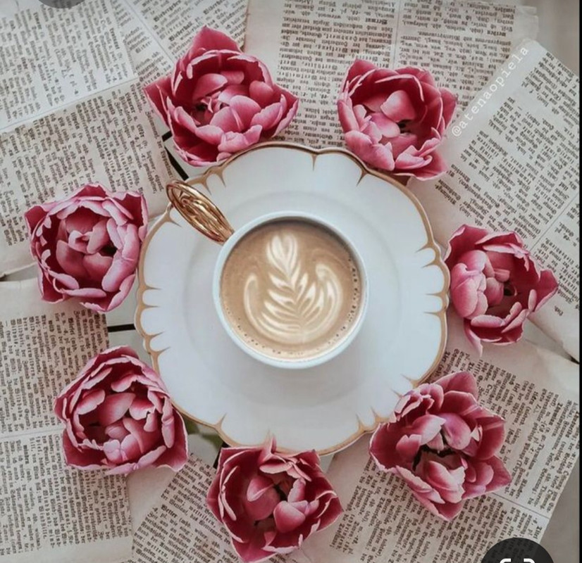 Screenshot_20230316_180935_Pinterest