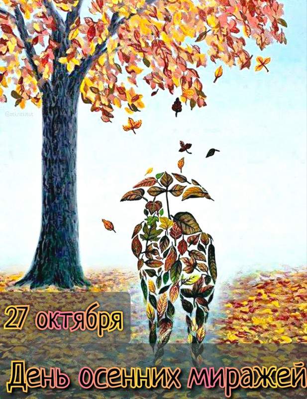 IMG_20231027_120819_063