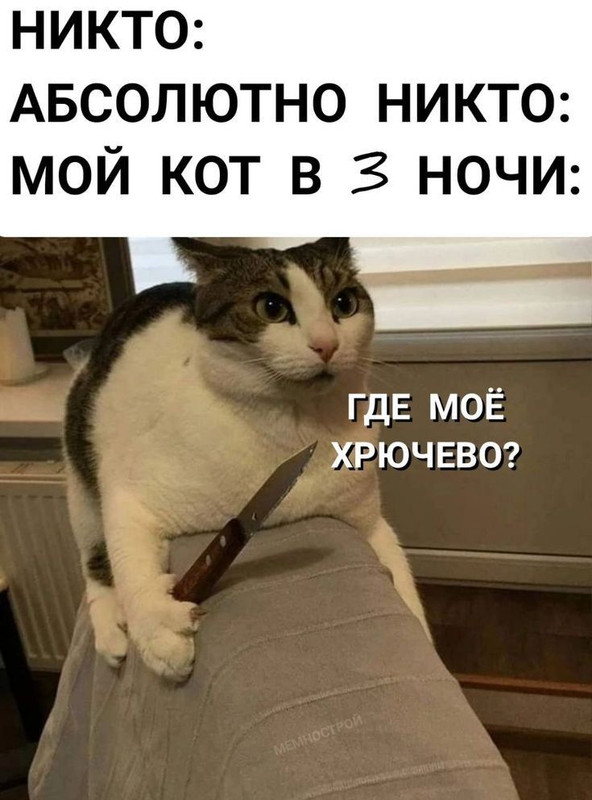 835e050029d2b17d57f4c8edc2999691