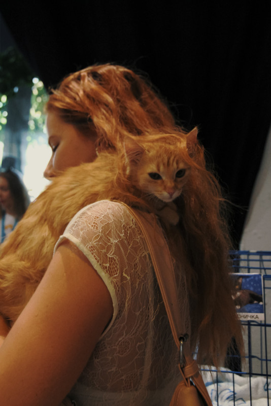 23-08-08_15-02-41-473