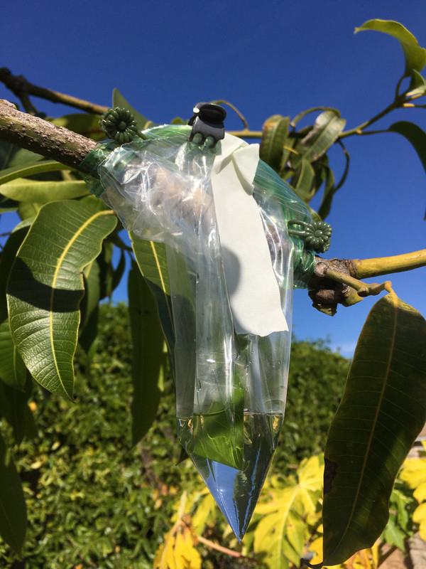 5B0DEF8B-B7C1-45E4-9B29-200BA58A4357