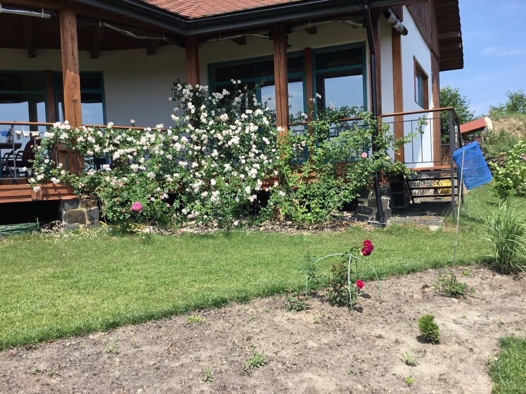 F8C4409E-771C-45A4-BDDB-D62741F7150E