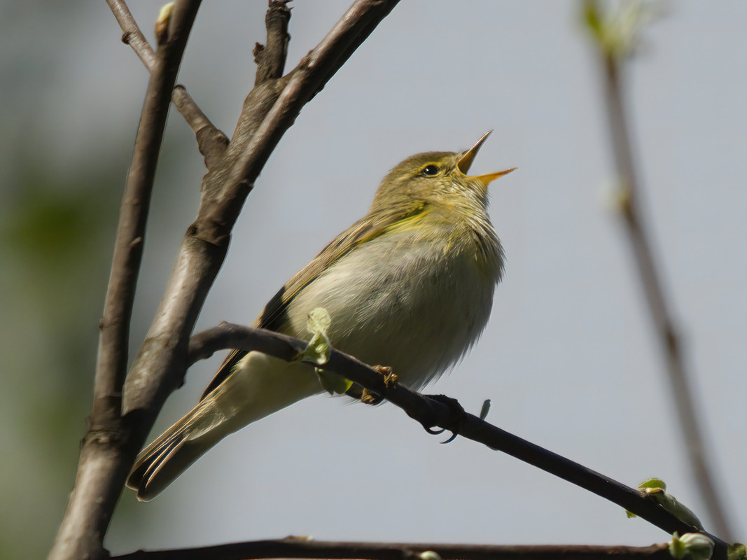 0F3A1145-gigapixel-very_compressed-scale-1_00x