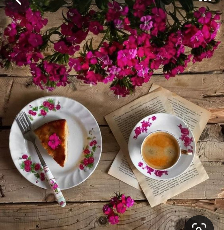 Screenshot_20240118_225332_Pinterest