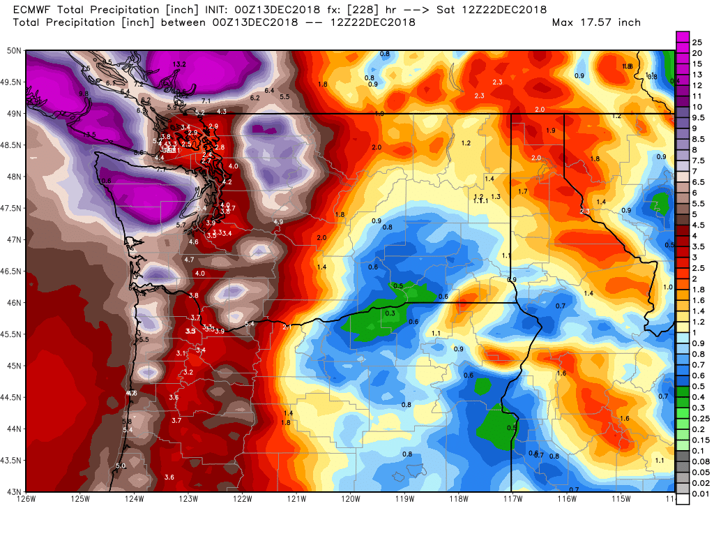 ecmwf-tprecip-washington-39.png