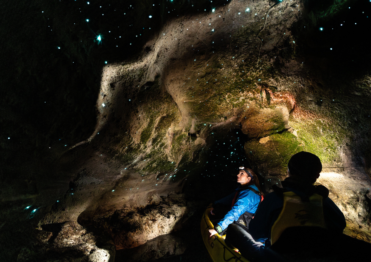 Rotorua Glow Worm Kayak Tour | Shaara Deals 