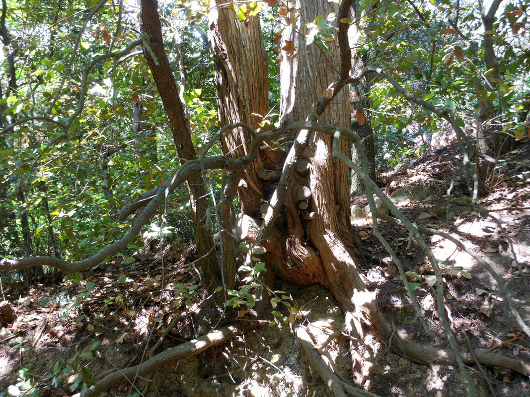 OZHYS3v0JGzaZBtYS3Z47xcvLO15iZWeyN7BaK_NJ06WBbYLrZC_Z69V8KFByUI6gTqp0rypfCARJeu38RCNuK7H