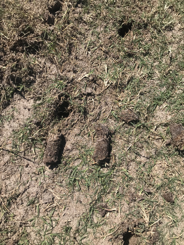 D4EA3BE3-84BA-4E87-BFCB-2D9C8B6BCC37