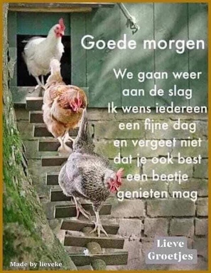 GOEDE-MORGEN-wij-gaan-weer-aan-de-slag
