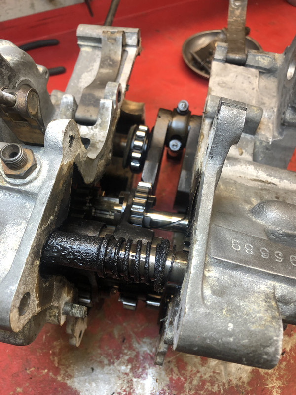 AD5C253F-46E8-42D9-9655-137482DB6F4B