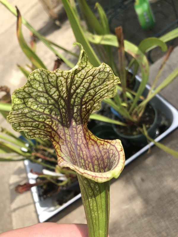 E4691590-2614-422F-8764-0FF339A96B2F