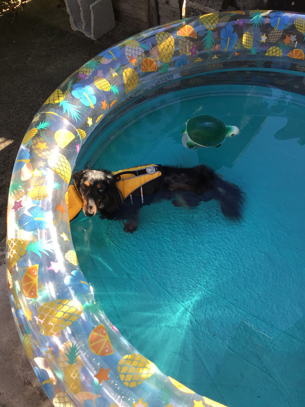 [Image: 16227-F01-CB95-49-FA-9-AB3-4739740-B4-AC0.jpg]