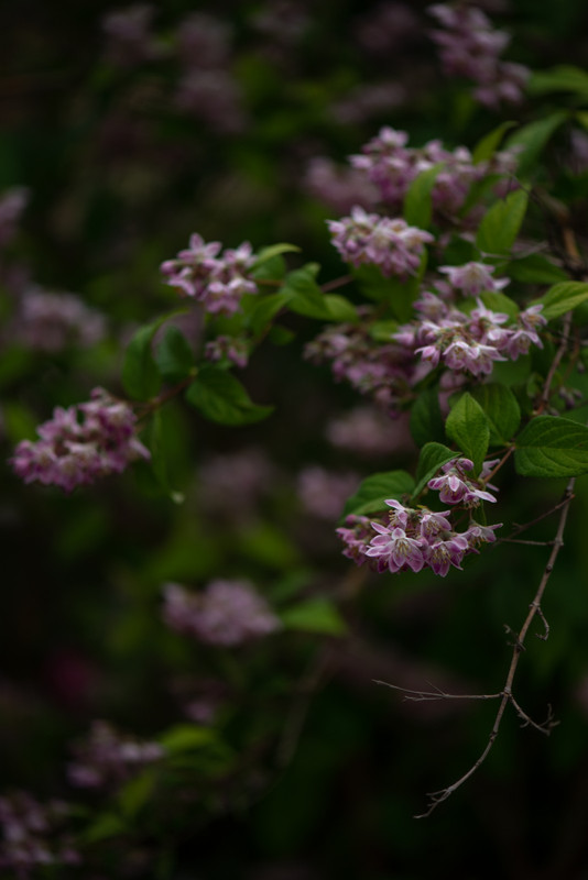 IMG-7b40efb22c068a7838bfee3b643e0af6-V