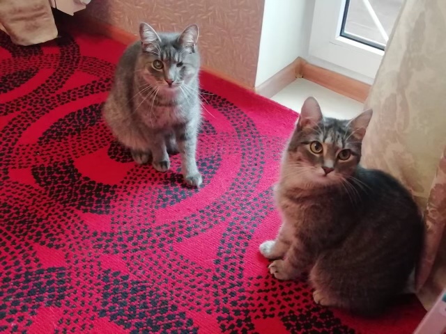 DE62A1FF-7EED-41F2-8E28-62E8110D2296