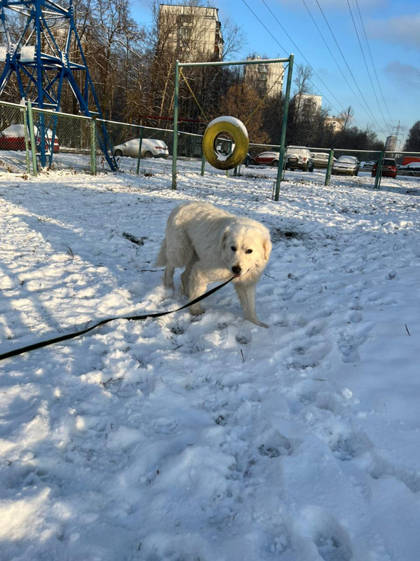 3C4F0302-4BA9-4D45-8A62-39CDEE00AF5D