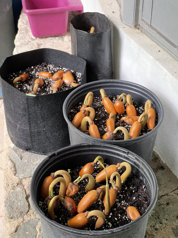 7028F01C-D77F-4738-BF6B-FFBFEAC114AC