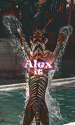 alex-1.png