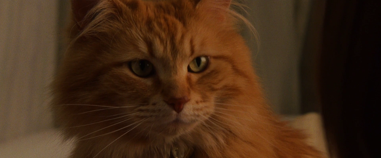 vlcsnap-2024-03-08-11h29m53s582