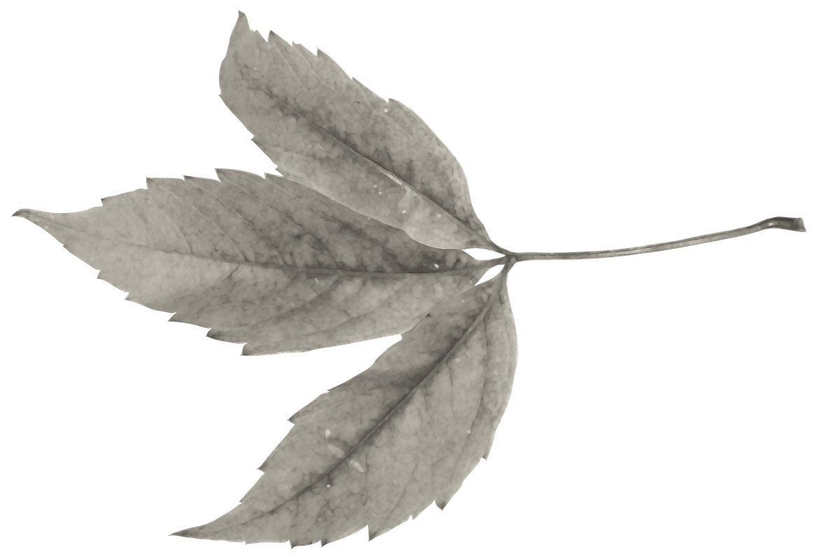 Maguette_NothingFades_el (41)