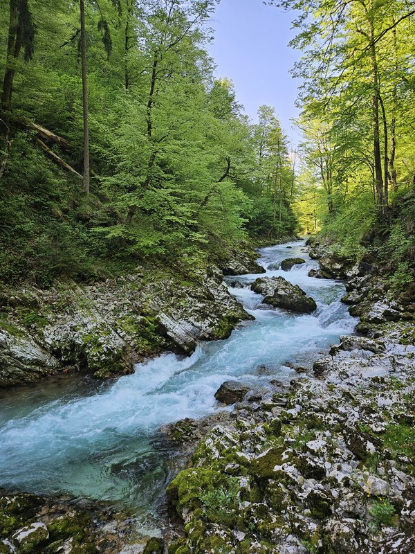 Slika