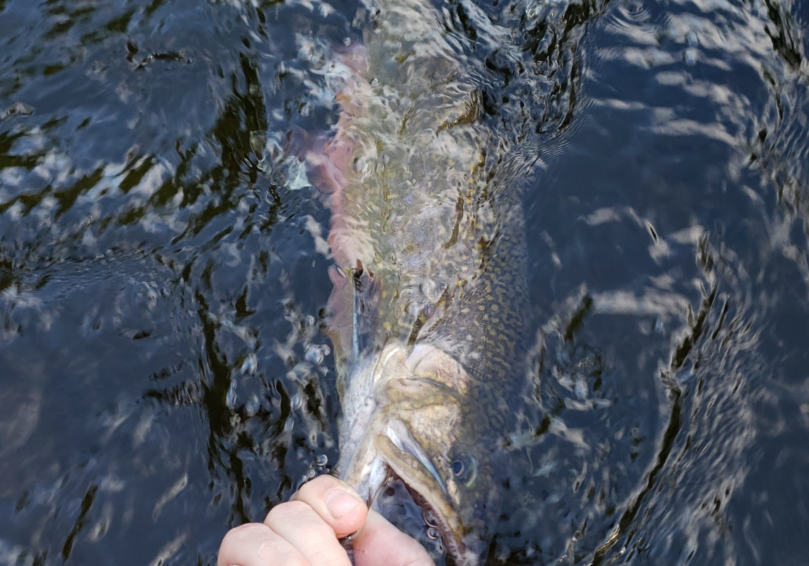20190617_180936