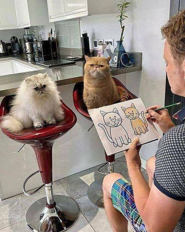 picdump-kw22-2026-011.jpg