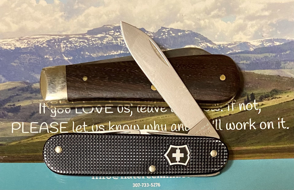 692872CF-E46D-43E7-BA1E-551818C0AC05_1_201_a