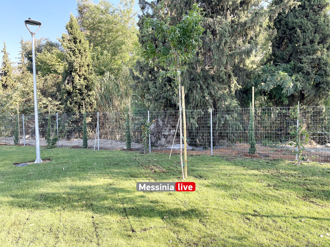 ΠΡΑΣΙΝΟ ΘΕΑΤΡΟimage00006