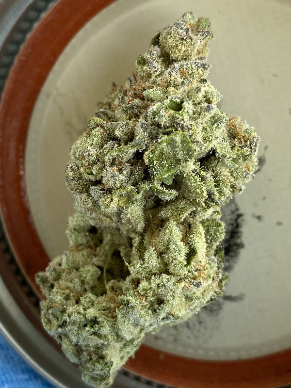 2B6A293A-1575-4D38-B8A5-7EC5BEC75342