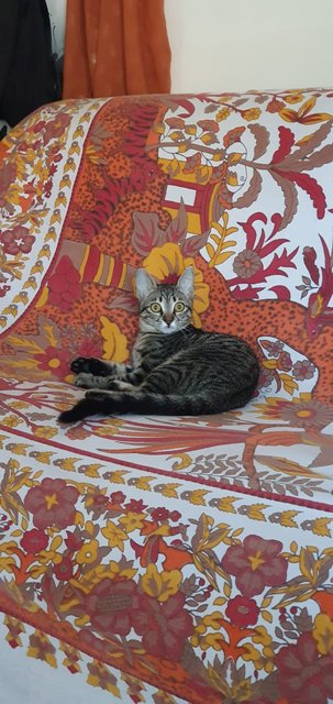 WhatsApp Image 2021-10-05 at 00.44.07