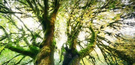 Luminosity Masking in Photoshop by Blake Rudis