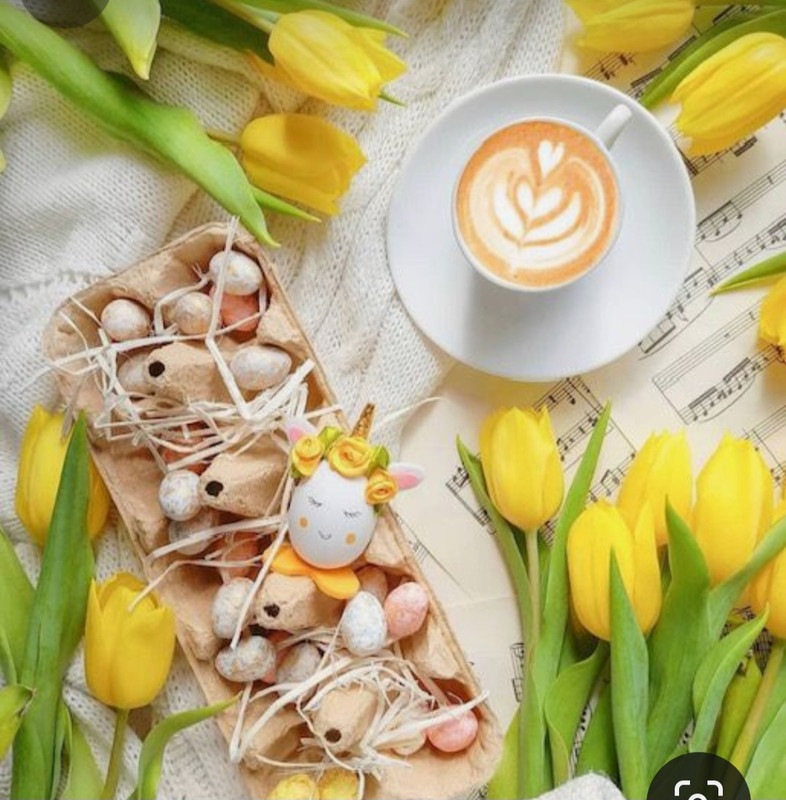 Screenshot_20240428_171322_Pinterest