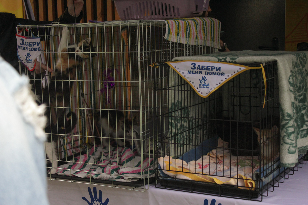 663862CD-1836-4F81-9596-08AF642BE6A2