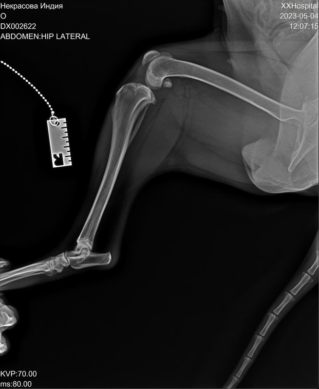 4E227233-5847-4750-85AE-B83A63327980